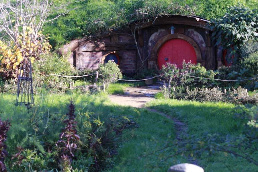 From Auckland: Hobbiton & Rotorua Tour with Lunch at Te Puia - Is the $286 price fair?