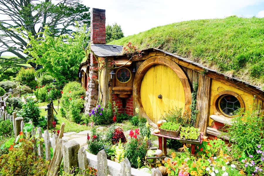 From Auckland: Hobbiton & Rotorua Tour with Lunch at Te Puia - The drive through Waikato and Bay of Plenty