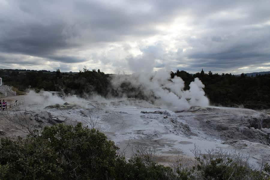 From Auckland: Hobbiton & Rotorua Tour with Lunch at Te Puia - The buffet lunch at Te Puia