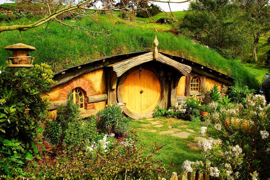 From Auckland: Hobbiton & Rotorua Tour with Lunch at Te Puia - Returning to Auckland or staying in Rotorua