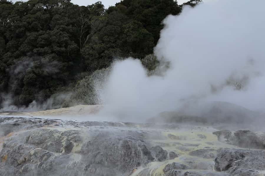 From Auckland: Hobbiton & Rotorua Tour with Lunch at Te Puia - Who will get the most from this tour