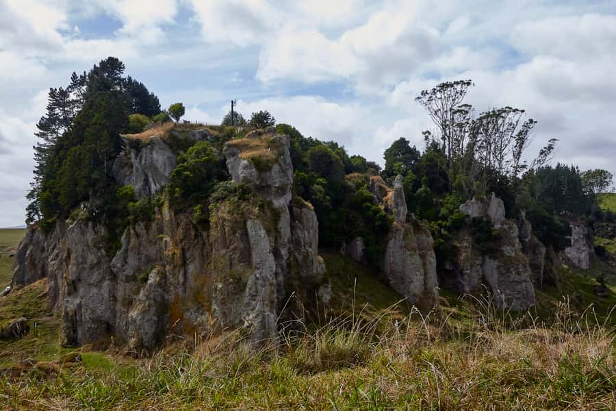 From Auckland or Rotorua: Hobbiton & Waitomo Tour with Lunch - Waitomo Glowworm Caves: a short walk into darkness