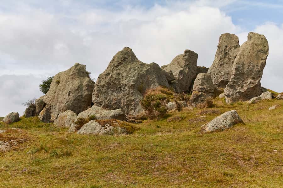 From Auckland or Rotorua: Hobbiton & Waitomo Tour with Lunch - Who should book this day trip?