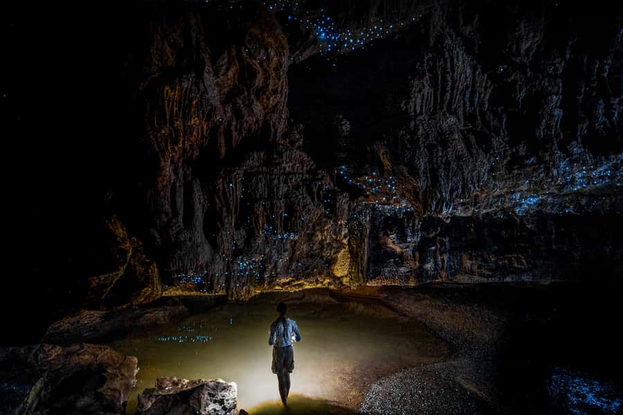 From Auckland or Rotorua: Hobbiton & Waitomo Tour with Lunch - The road from Auckland or Rotorua