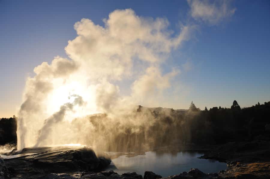 From Auckland: Rotorua Te Puia, Haka & Polynesian Spa Tour - Key points to know before booking