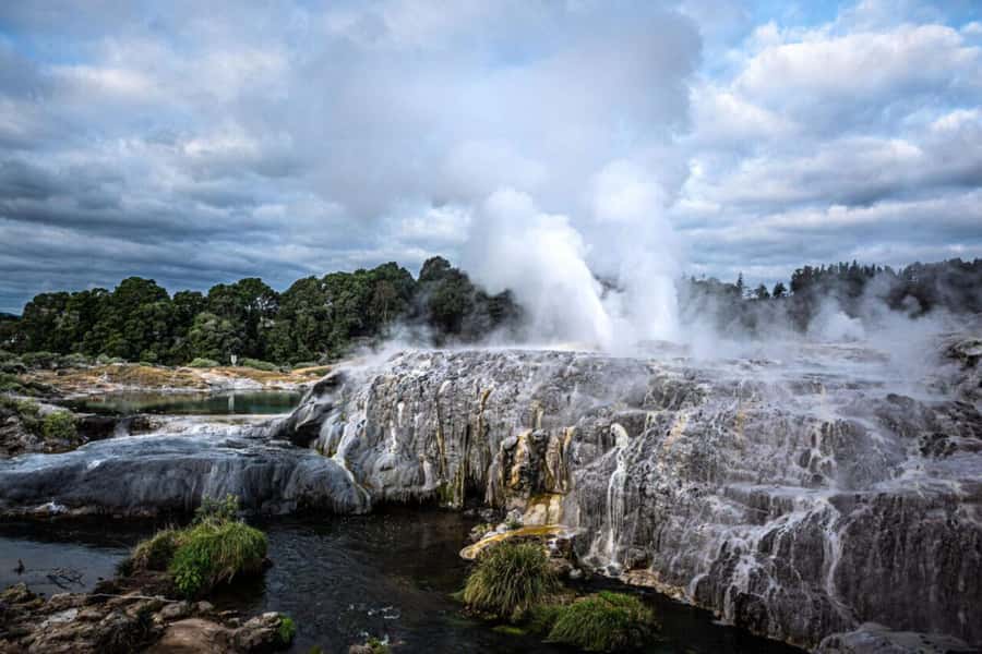 From Auckland: Rotorua Te Puia, Haka & Polynesian Spa Tour - Te Aronui a Rua and the power of the haka