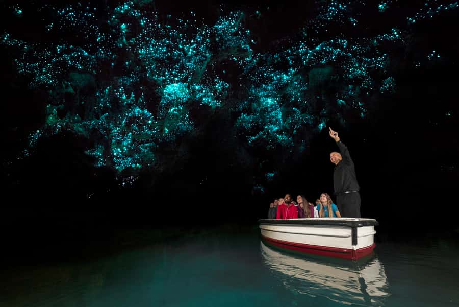 From Auckland: Two-Day Hobbiton, Rotorua, Waitomo Caves Tour - Key points at a glance