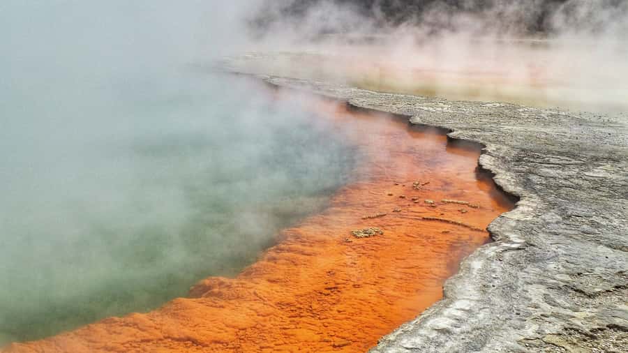 From Auckland: Two-Day Hobbiton, Rotorua, Waitomo Caves Tour - Your Rotorua hotel is practical, not central