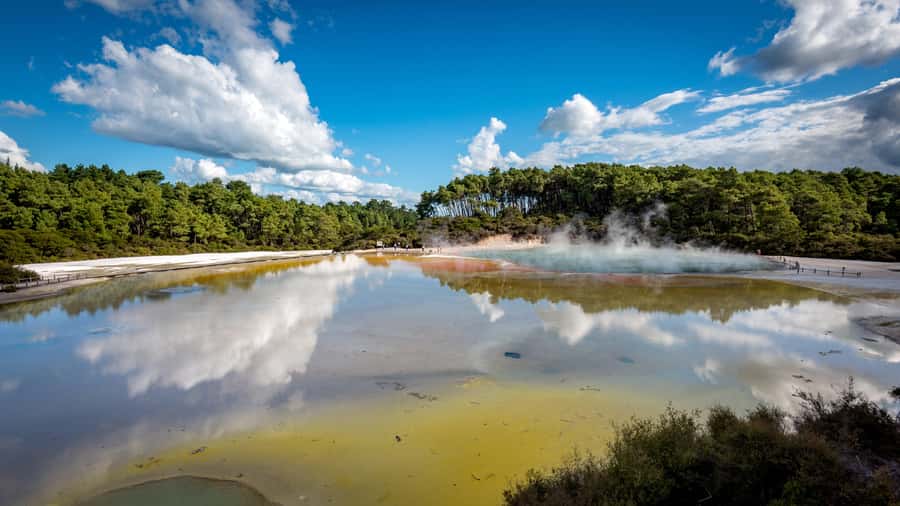 From Auckland: Wai-O-Tapu & Polynesian Spa Rotorua Day Tour - Walking through Wai-O-Tapu’s volcanic color
