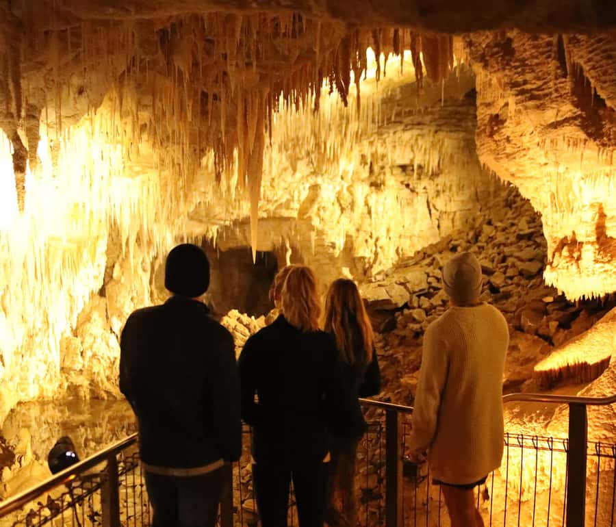 From Auckland: Waitomo Glow Worm Caves & Rotorua Tour - Waitomo Glowworm Caves: New Zealand’s underground night sky