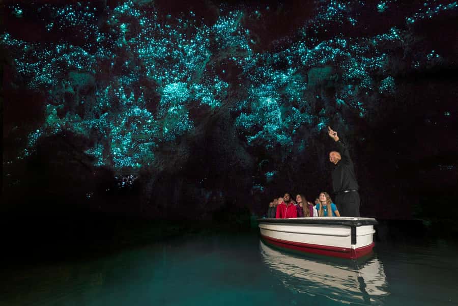 From Auckland: Waitomo Glow Worm Caves & Rotorua Tour - Te Puia: geysers, Māori culture, and a quick introduction