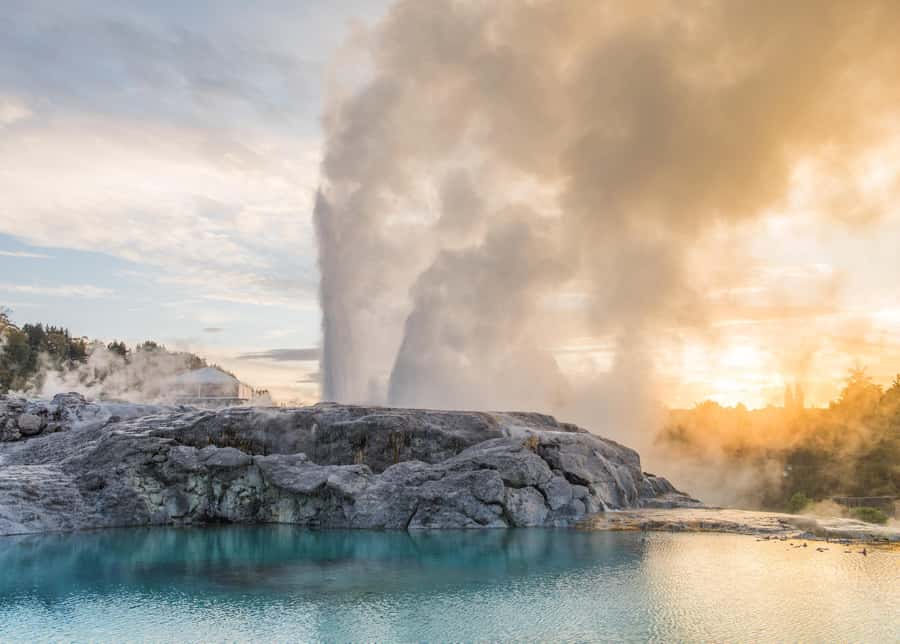 From Auckland: Waitomo Glow Worm Caves & Rotorua Tour - The kiwi enclosure and small details that matter