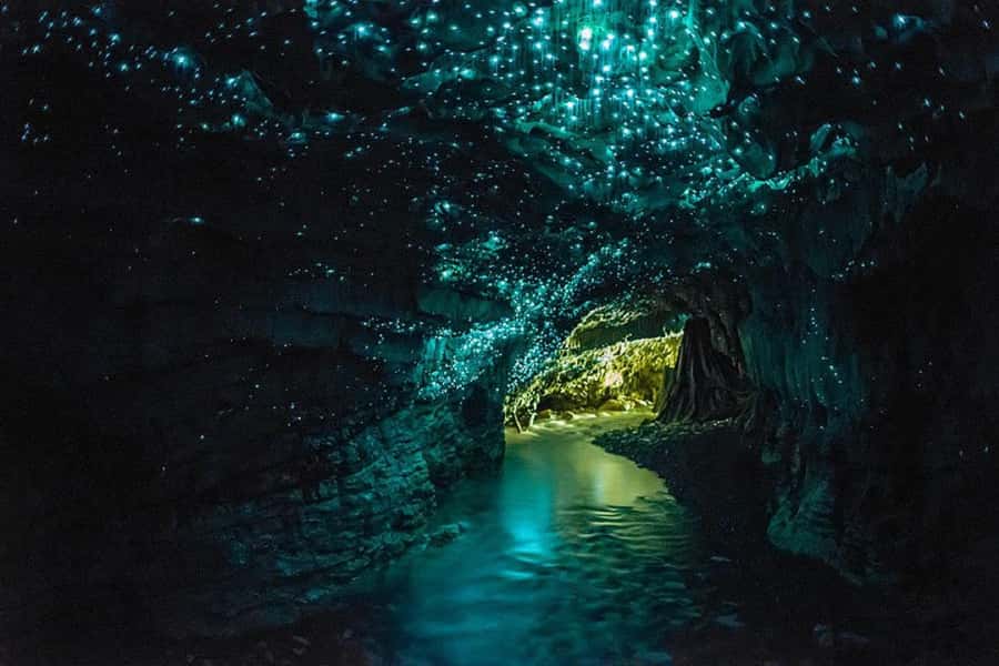 From Auckland: Waitomo Glow Worm Caves & Rotorua Tour - The road south through Waikato