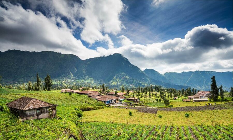 From Bali: Mount Bromo and Blue Fire Ijen Crater 3-Day Tour - Cancellation and booking flexibility