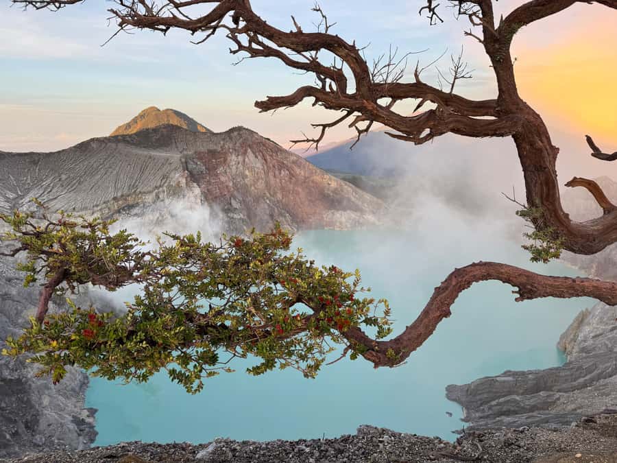 From Bali: Mount Ijen Tour Blue Fire Tour 2D1N, Hotel - The return to Bali and the real time commitment
