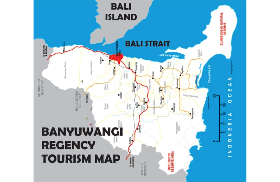 From Bali or Banyuwangi: Ijen Crater Sunrise Hike - Key points to know before booking
