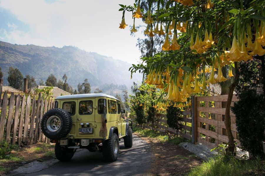 From Bali or Java: Bromo & Kawah Ijen – 3-Day Adventure - The long road to the Bromo region
