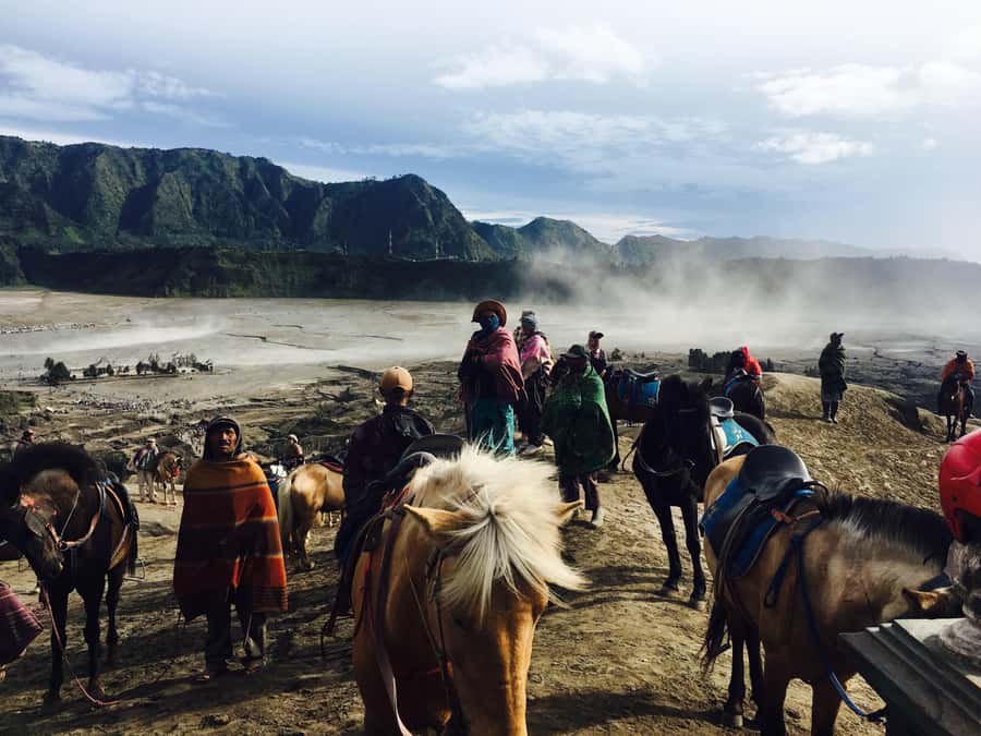 From Bali or Java: Bromo & Kawah Ijen – 3-Day Adventure - Inside Ijen’s sulfur country
