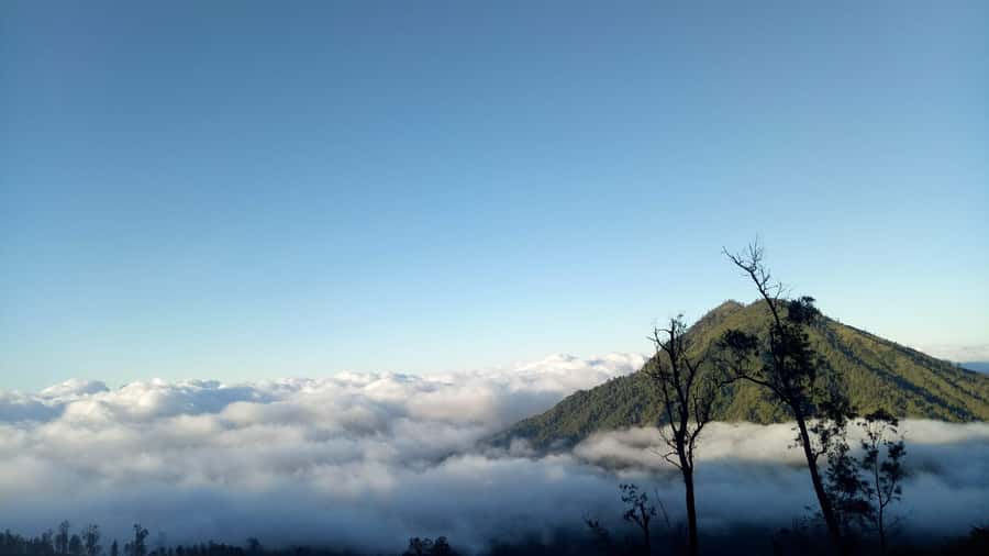 From Bali : The Majestic Mount Ijen Sunrise Trekking - Paltuding and the 2:00 AM start