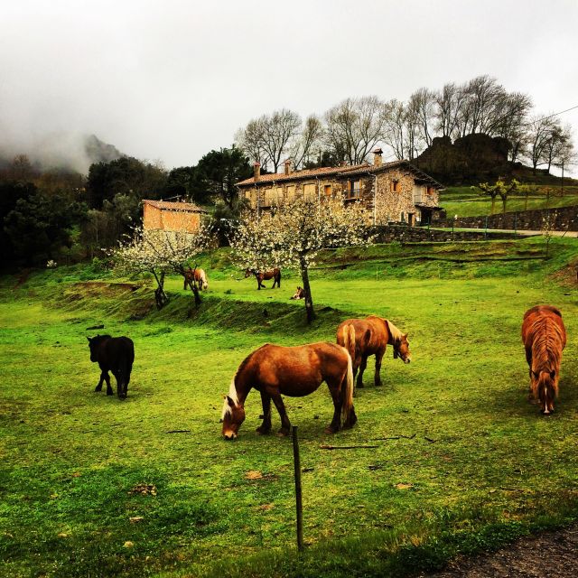 From Barcelona: Medieval Villages and Volcanic Hiking Tour - Why La Garrotxa makes a good day trip from Barcelona