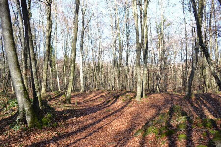 From Barcelona: Medieval Villages and Volcanic Hiking Tour - Walking beside three lava flows