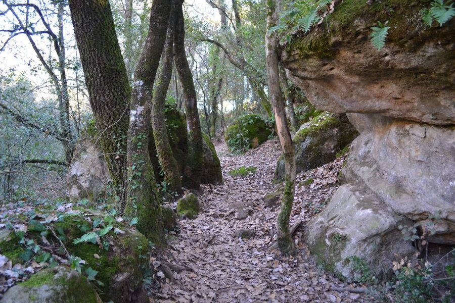 From Barcelona: Medieval Villages and Volcanic Hiking Tour - Who should book this Catalonia day trip