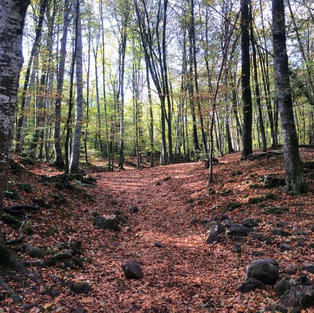 From Barcelona: Medieval Villages and Volcanic Hiking Tour - Practical details for a smoother day