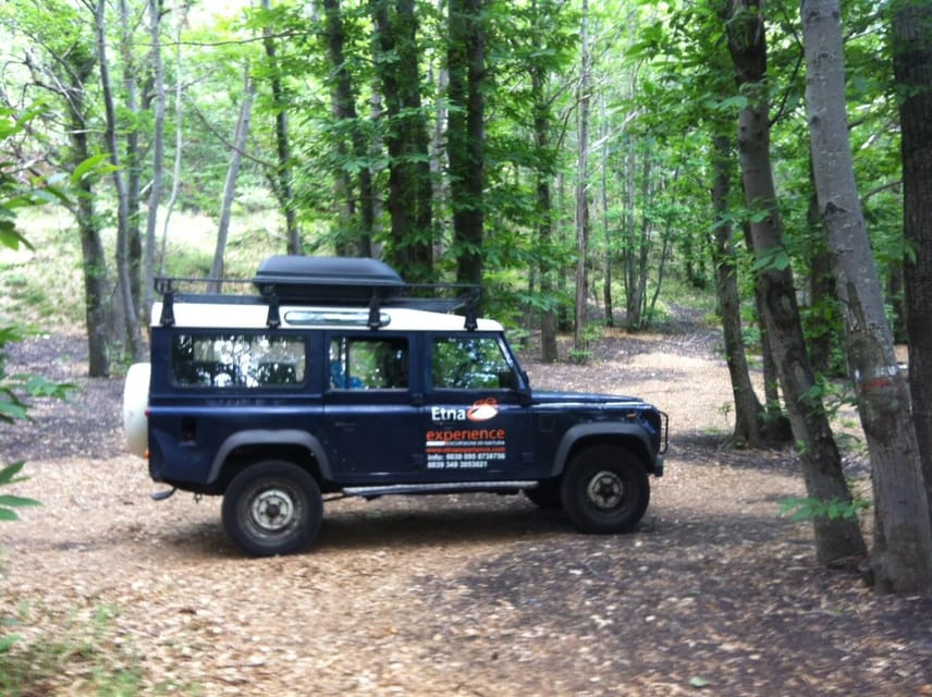 From Catania: 4x4 Mt Etna Jeep Tour - Timing, weather, and what to wear