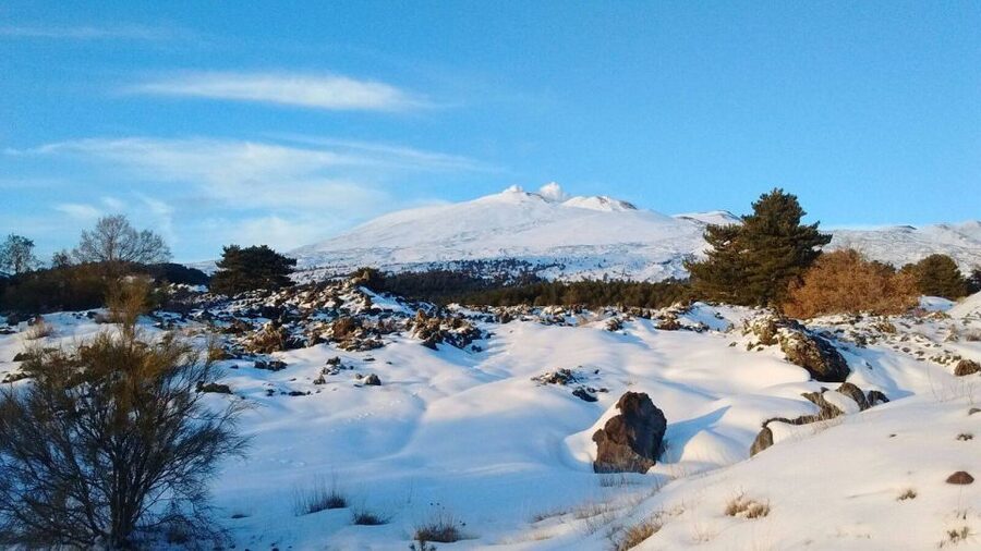 From Catania: Guided Tour of Mount Etna and Taormina - Pickup from Catania and the ride uphill