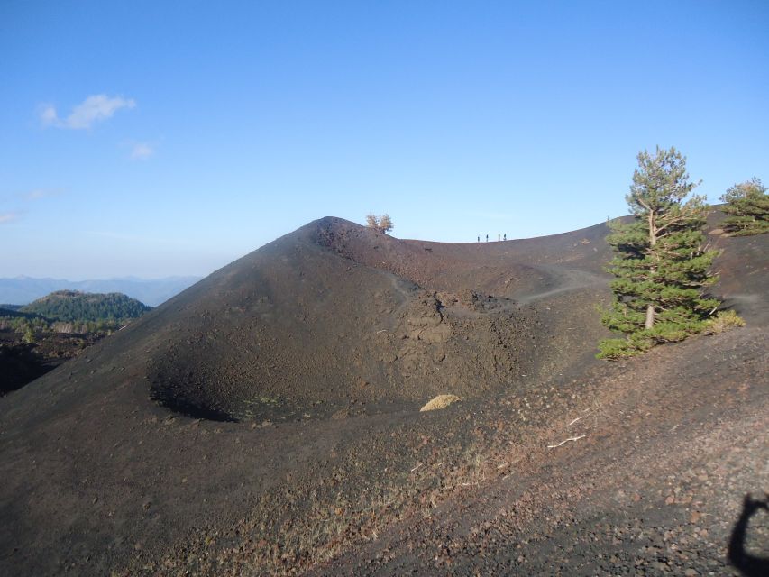 From Catania: Mount Etna Half-Day Tour and Wine Experience - Who should book this Etna day trip?