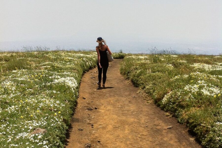 From Catania: Mount Etna Half-Day Tour and Wine Experience - From volcanic ground to Sicilian wine near Zafferana Etnea