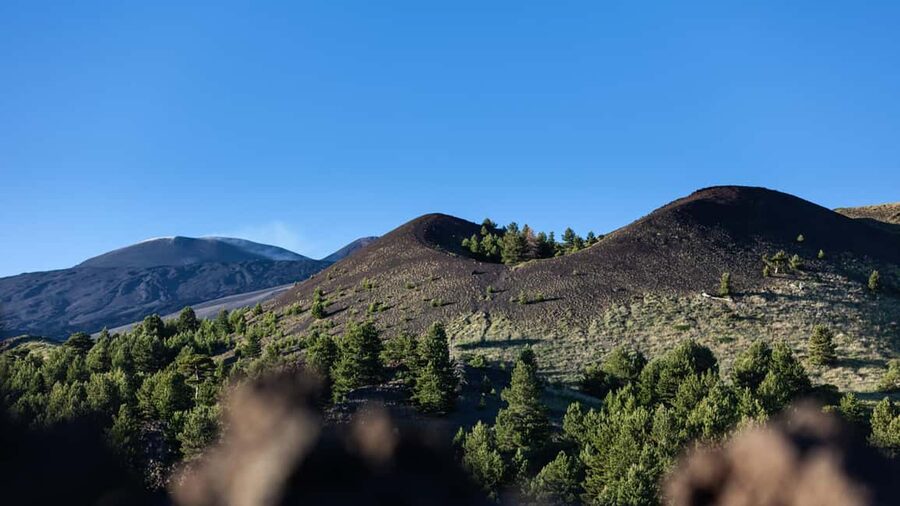From Catania: trek on Mount Etna, Lava Cave & tasting Tour - The Sicilian tasting in Ragalna