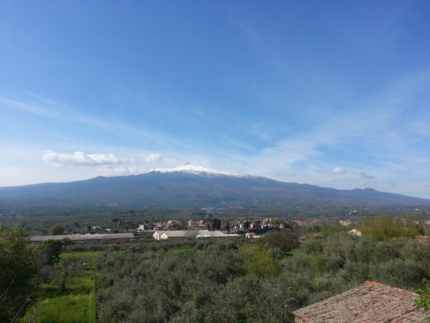 From Cefalù : Etna & Taormina guided tour full day - What the guide adds on a long day