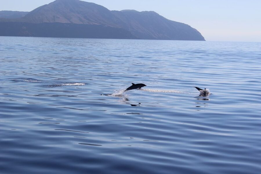 From Cefalù: Salina, Panarea, Stromboli Tour with Boat Ride - What the boat ride adds to the day