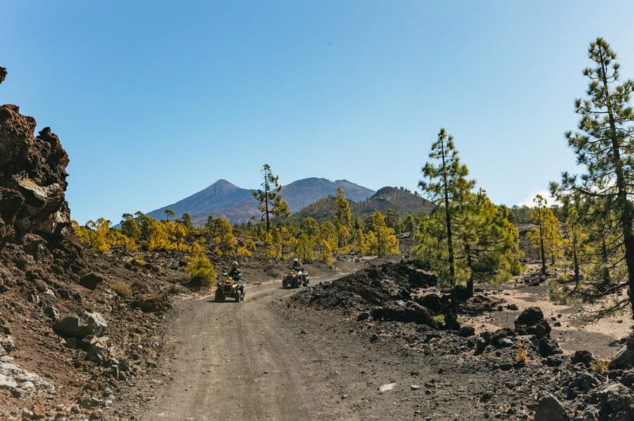 From Costa Adeje: Mount Teide Forest Off-Road Quad Bike Tour - Why the pine forest is the real attraction