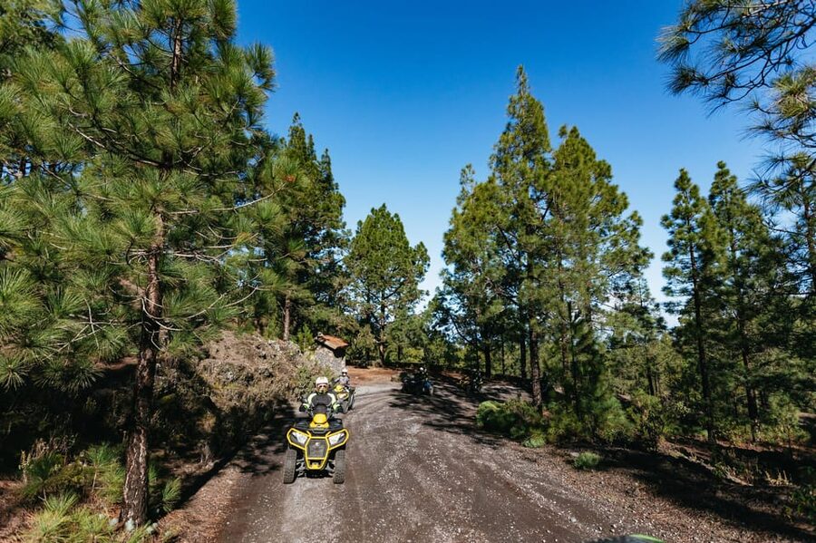 From Costa Adeje: Mount Teide Forest Off-Road Quad Bike Tour - Safety and the road sections