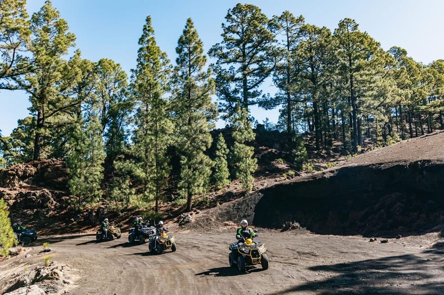 From Costa Adeje: Mount Teide Forest Off-Road Quad Bike Tour - What is included, and where the value comes from