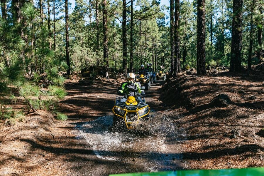 From Costa Adeje: Mount Teide Forest Off-Road Quad Bike Tour - Three hours of riding, with more than just throttle and dirt