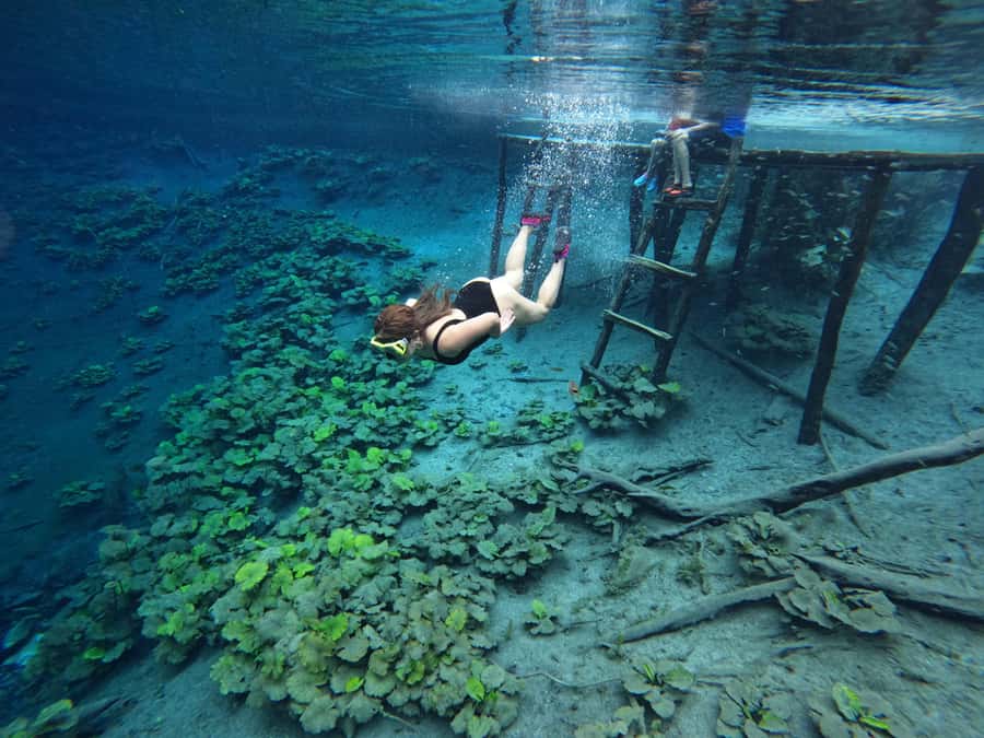 From Flores: Blue Crater Adventure All Inclusive - Key points to know before booking