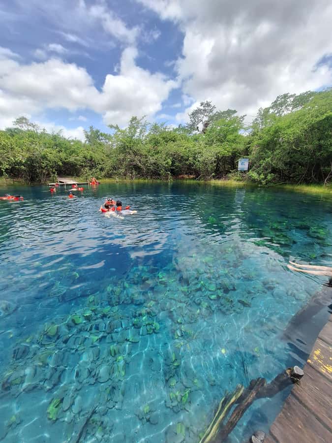 From Flores: Blue Crater Adventure All Inclusive - Two and a half hours at the clear-water source