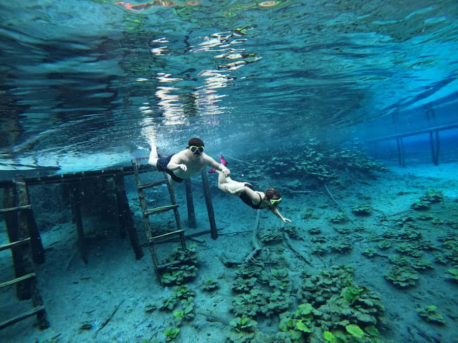 From Flores: Blue Crater Adventure All Inclusive - The 8:00 am departure from Flores