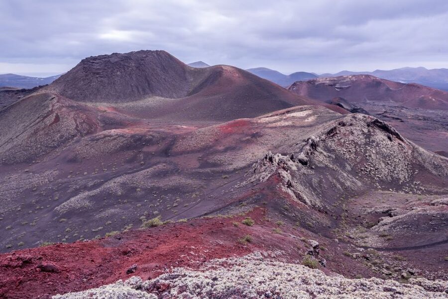 From Fuerteventura: Lanzarote Volcano and Wine Region Tour - Group Size, Languages, and Pace