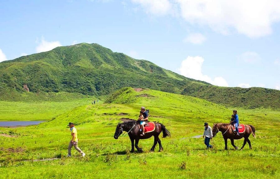 From Fukuoka: Mount Aso, Kurokawa Onsen, and Shrine Tour - Who will get the most from this $50 day trip?