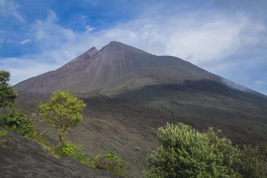 From Guatemala City or Antigua: Pacaya Volcano Day Tour - Walking through forest, sand, and black rock