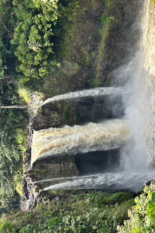 From Hilo: Hawaii Volcanoes National Park Tour - Big Island Candies and the final taste of Hilo
