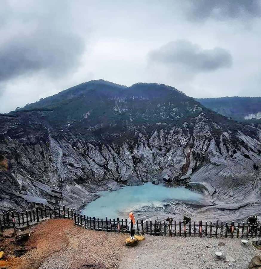 From Jakarta : Volcano, Tea & Rice Fields, Hot Spring - Rice fields and a closer look at village life