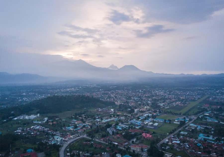 From Kigali: Bisoke Summit Trek, Crater Lake 1 Day Safari - Forest wildlife and high-altitude plants