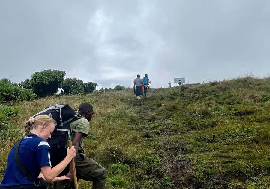 From Kigali: Bisoke Summit Trek, Crater Lake 1 Day Safari - The four-hour climb to Bisoke’s crater lake