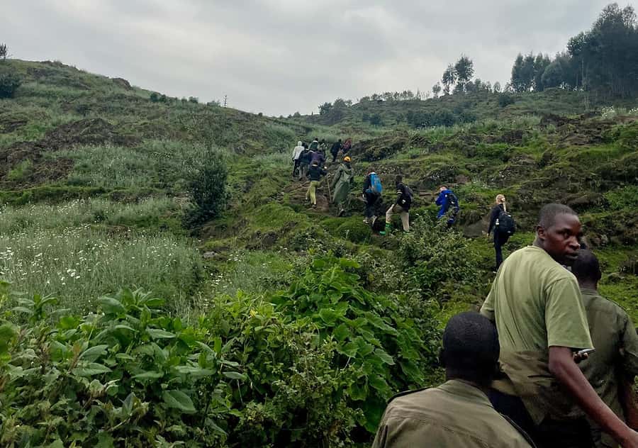From Kigali: Bisoke Summit Trek, Crater Lake 1 Day Safari - What the $260 price really covers