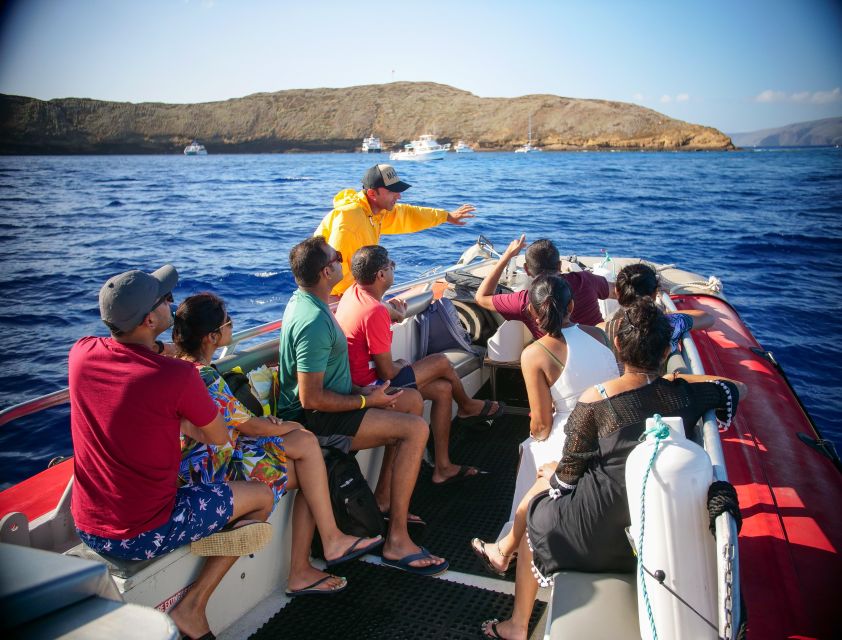 From Kihei: Molokini Crater and Turtle Town Snorkeling - Turtle Town: the place to look for honu